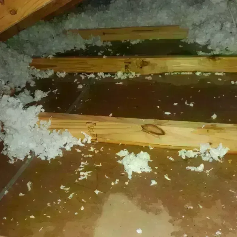 Attic Water Damage in Fergus Falls, MN