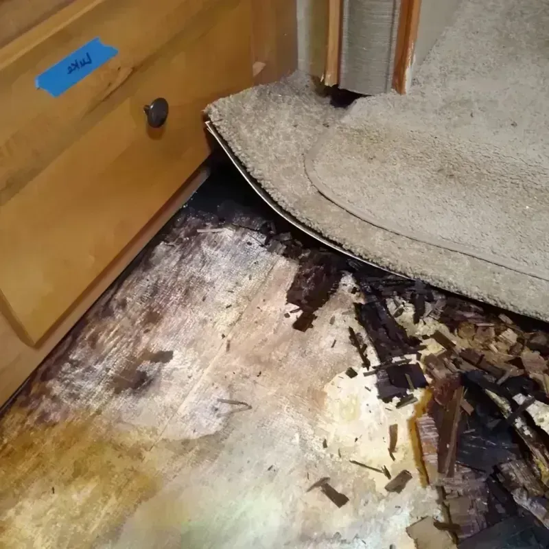 Best Wood Floor Water Damage Service in Fergus Falls, MN